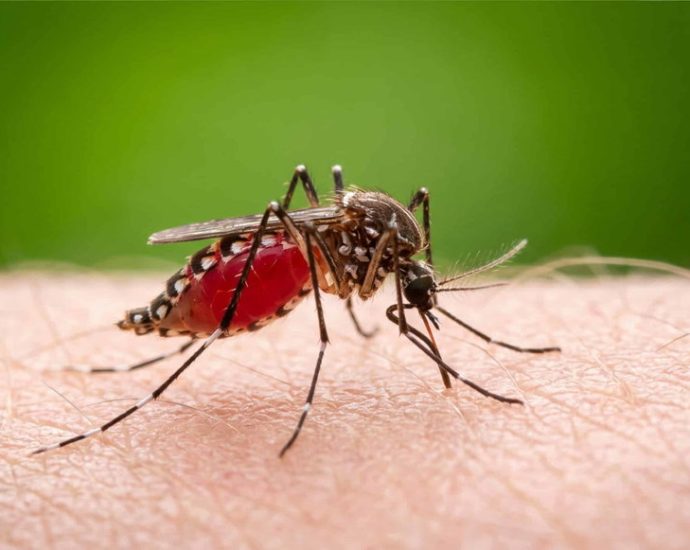 in-a-drier-world,-some-infectious-diseases-are-unexpectedly-thriving