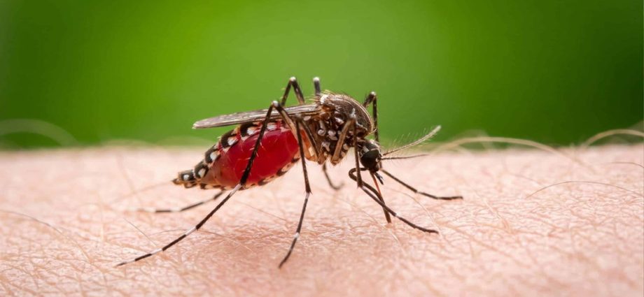 in-a-drier-world,-some-infectious-diseases-are-unexpectedly-thriving