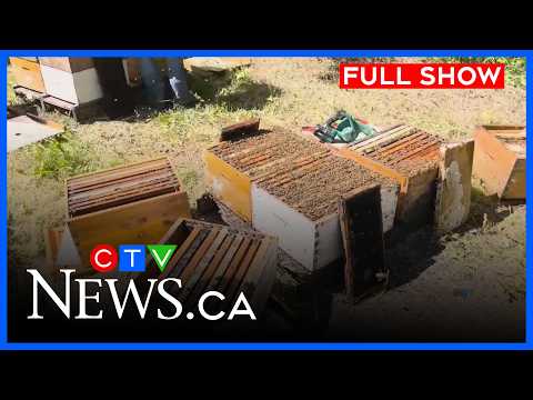 local-businesses-on-edge-after-trade-talks,-fatal-fire-|-ctv-news-winnipeg-11:30pm-august-24,-2026