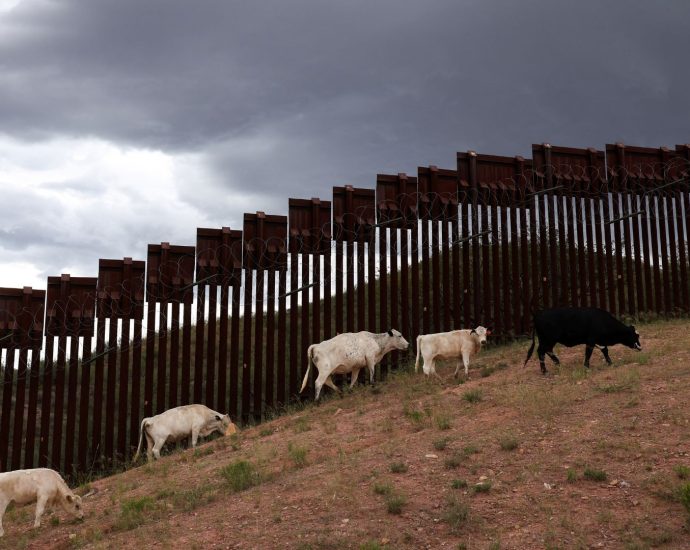 arizona-cattle-port-reopens-days-after-screwworm-hits-neighboring-sonora