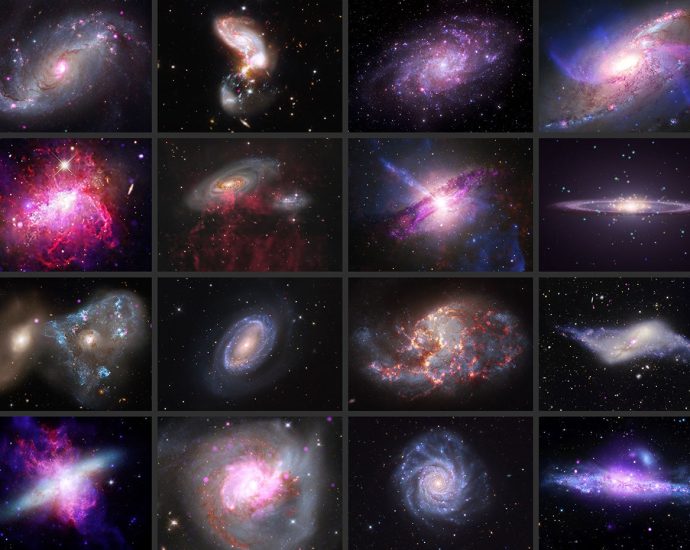 galaxy-gallery:-galactic-gems-glisten-in-new-gallery-from-nasa’s-chandra