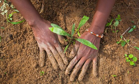 land-degradation-is-costing-far-more-than-restoring:-un-deputy-chief