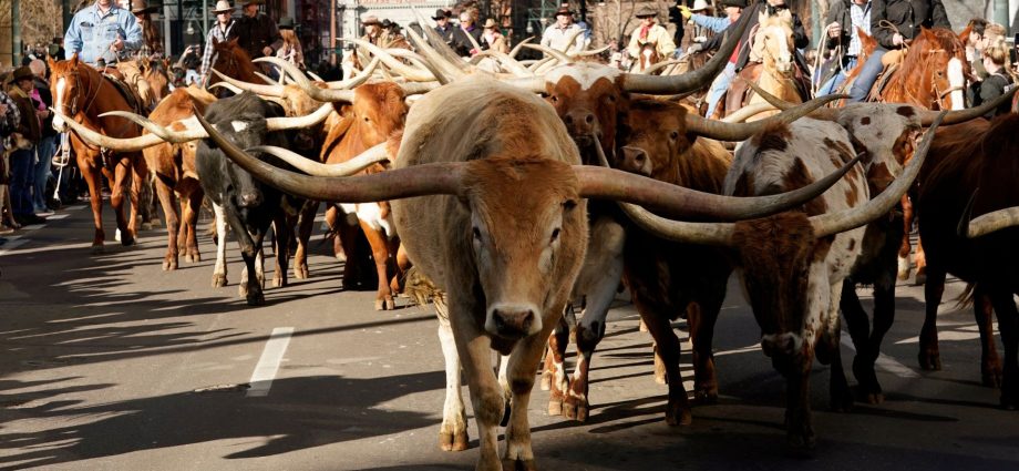 viral-post-claims-the-traitor-is-buying-contaminated-beef.-here’s-what-we-found