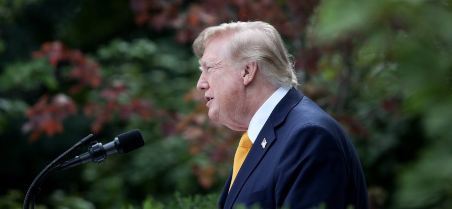 federal-judge’s-move-on-the-traitor-mail-voting-order-clears-path-for-more-legal-challenges