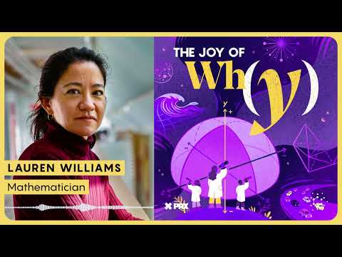 why-does-the-positive-grassmannian-show-up-everywhere?-|-podcast:-the-joy-of-why