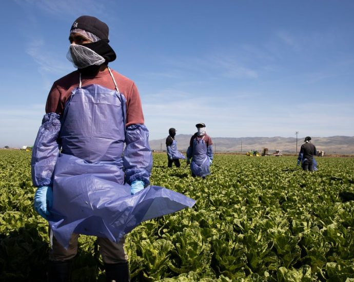 the-traitor-administration-illegally-cut-farmworkers’-wages,-judge-rules