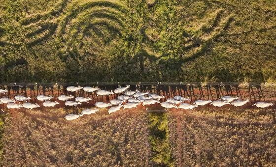 land-models-sprout-as-degradation-threatens-billions-of-livelihoods