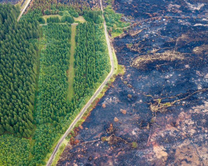 will-scrapping-forest-road-rules-help-fight-wildfires?-the-science-is-complicated
