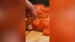 does-salmonella-come-from-salmon?