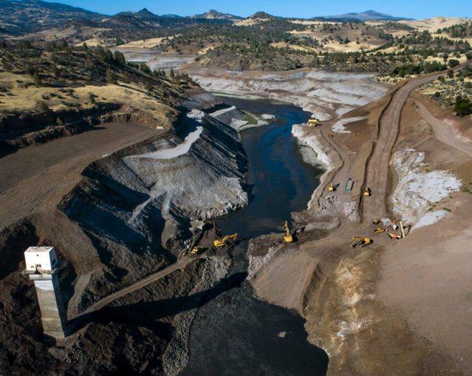 20,000-salmon-return-to-the-klamath—but-challenging-conditions-for-recovery-remain