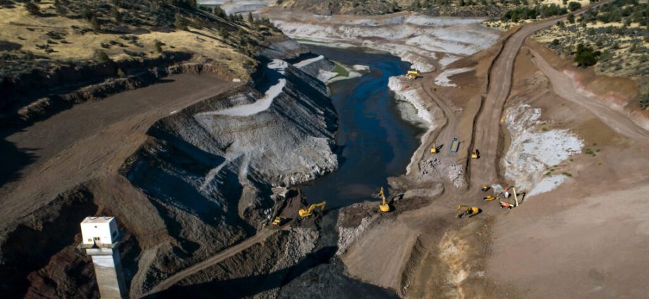20,000-salmon-return-to-the-klamath—but-challenging-conditions-for-recovery-remain
