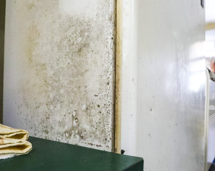 homebuilders-taxed-by-‘toxic-mold-syndrome’-lawsuits-despite-diagnosis-doubts