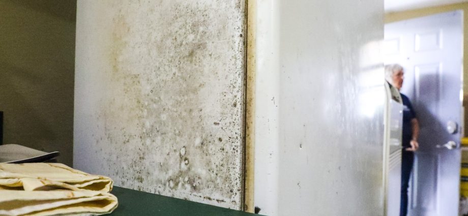 homebuilders-taxed-by-‘toxic-mold-syndrome’-lawsuits-despite-diagnosis-doubts