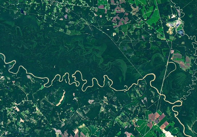 the-forested-floodplains-of-congaree-national-park