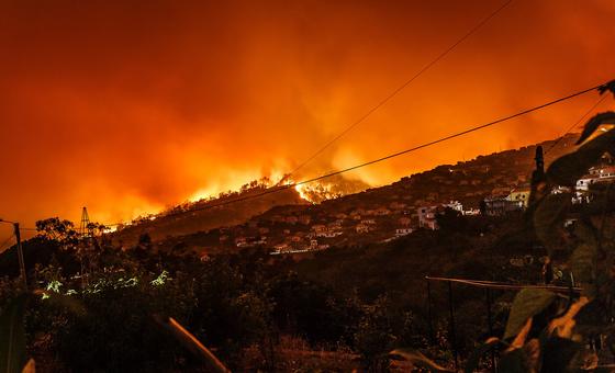 climate-alarm-‘blaring-from-every-direction’