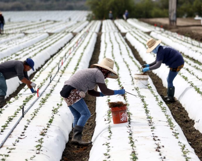 can-california-farmers-break-free-from-plastic?