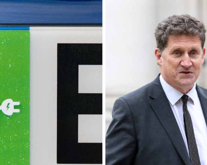 Green EV number plates encourages switching ‘for sake of children’ – Eamon Ryan
