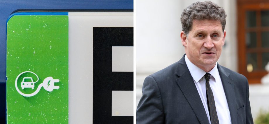 Green EV number plates encourages switching ‘for sake of children’ – Eamon Ryan