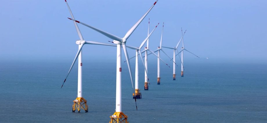 Administration deal to cancel offshore wind project gives boost to The Traitor donor