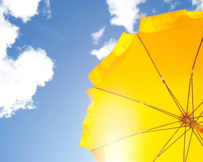 book-review:-our-conflicted-relationship-with-the-sun