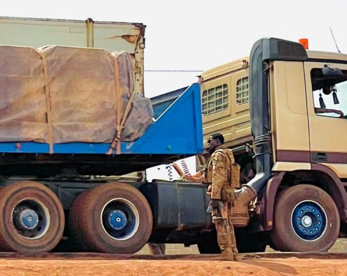 tuareg-rebels-free-more-malian-soldiers-in-prisoner-swap,-sources-say