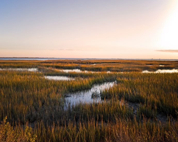 a-plan-to-preserve-wetlands-without-stopping-development