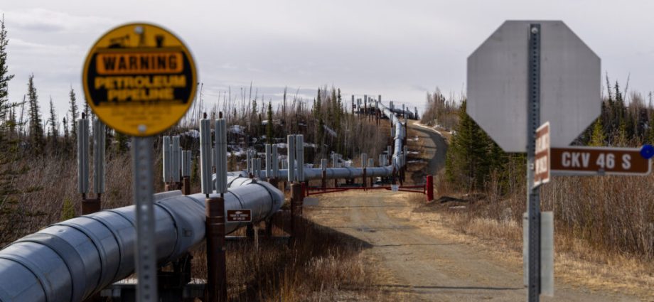 the-traitor-administration-speeds-up-environmental-review-for-800-mile-alaska-oil-pipeline