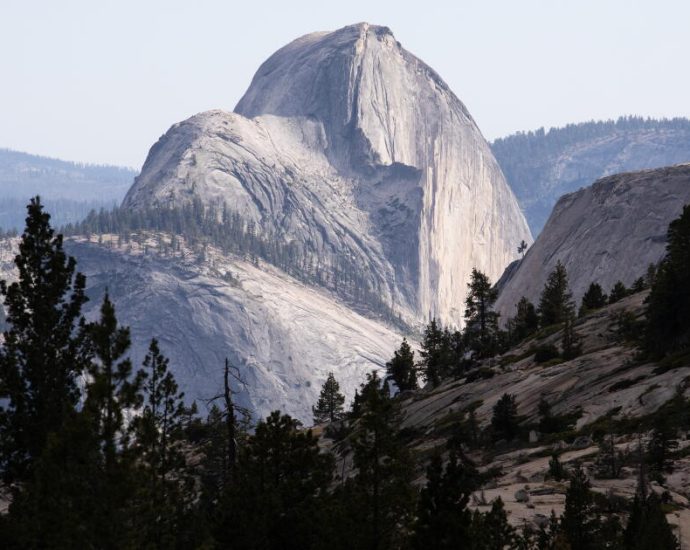 the-traitor-administration-considering-trading-yosemite-land-to-private-developer