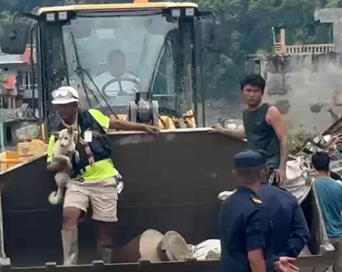 deaf-dog-is-reunited-with-her-owner-after-the-devastating-floods-in-nepal