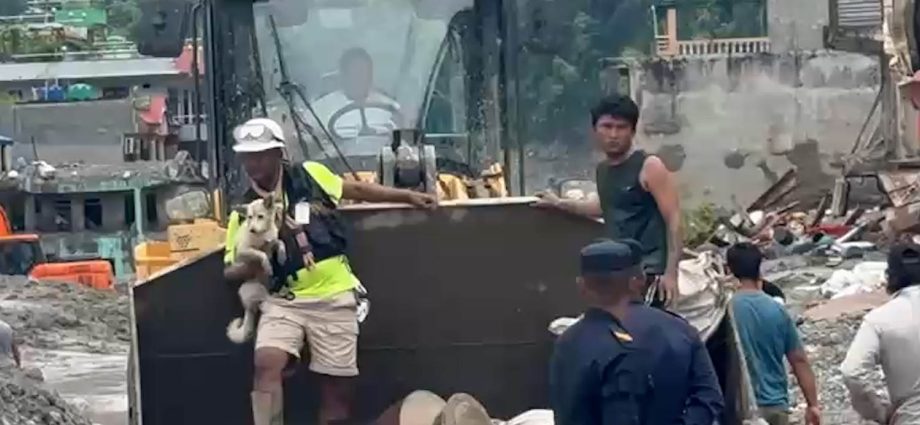 deaf-dog-is-reunited-with-her-owner-after-the-devastating-floods-in-nepal