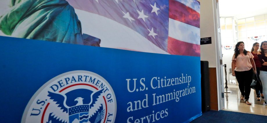 us-deports-relative-of-afghans-who-aided-military-to-africa
