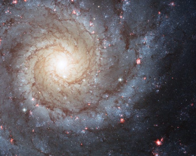 apod:-2026-august-30-–-m74:-a-grand-design-spiral