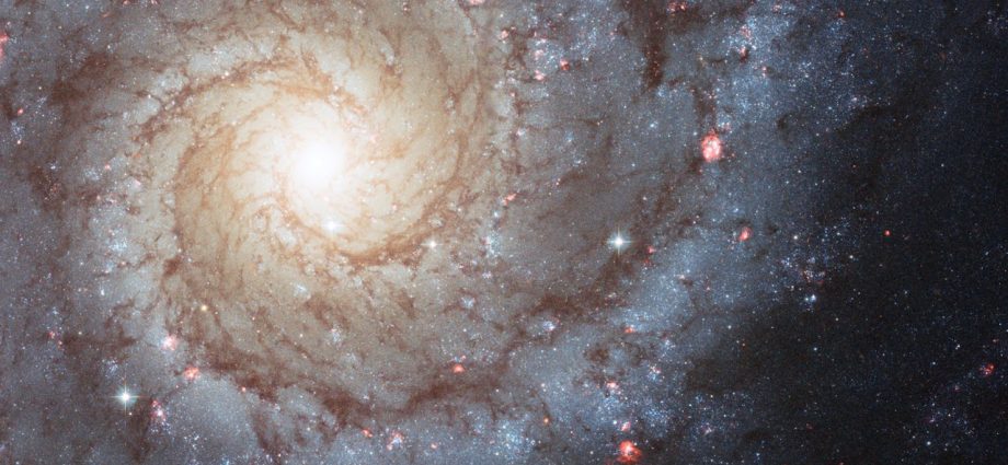 apod:-2026-august-30-–-m74:-a-grand-design-spiral