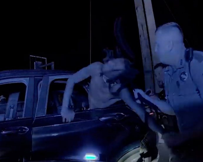 us-police-officer-pulls-hair,-throws-punches-during-arrest-in-arkansas