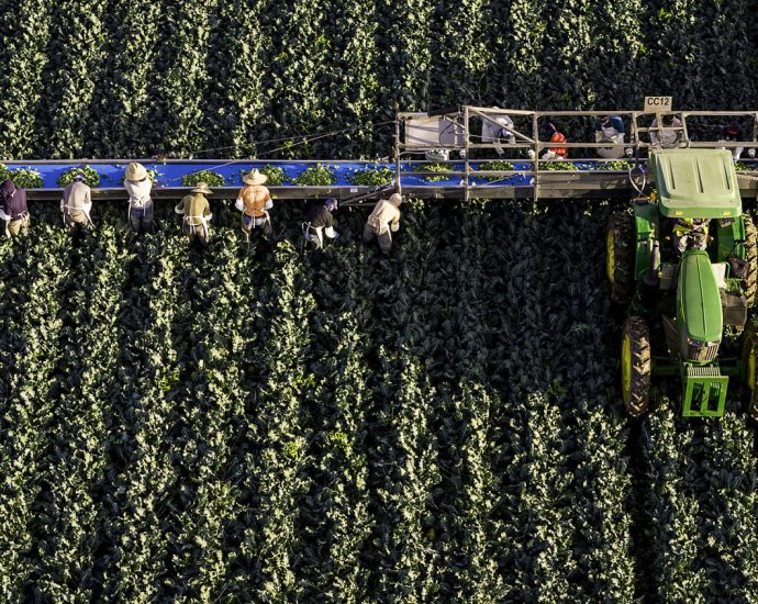 water-cuts-are-coming-for-arizona.-is-your-salad-on-the-chopping-block?
