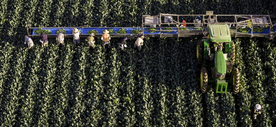 water-cuts-are-coming-for-arizona.-is-your-salad-on-the-chopping-block?