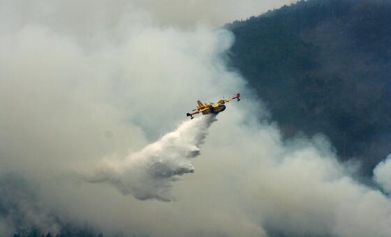 wildfires:-prevention-is-the-best-defence,-un-says