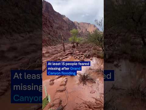 at-least-15-people-feared-missing-after-grand-canyon-flooding-|-dw-news