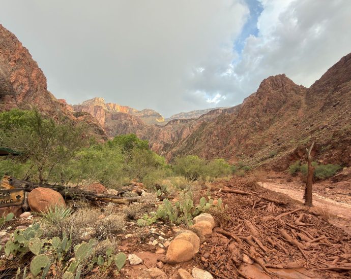 at-least-20-feared-missing-in-grand-canyon-flash-flood