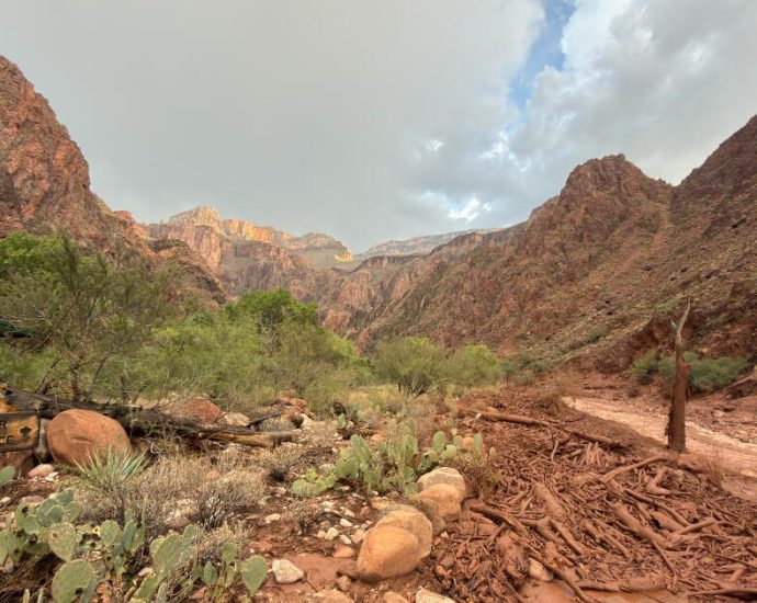one-dead,-more-than-a-dozen-unaccounted-for-after-grand-canyon-flash-flood