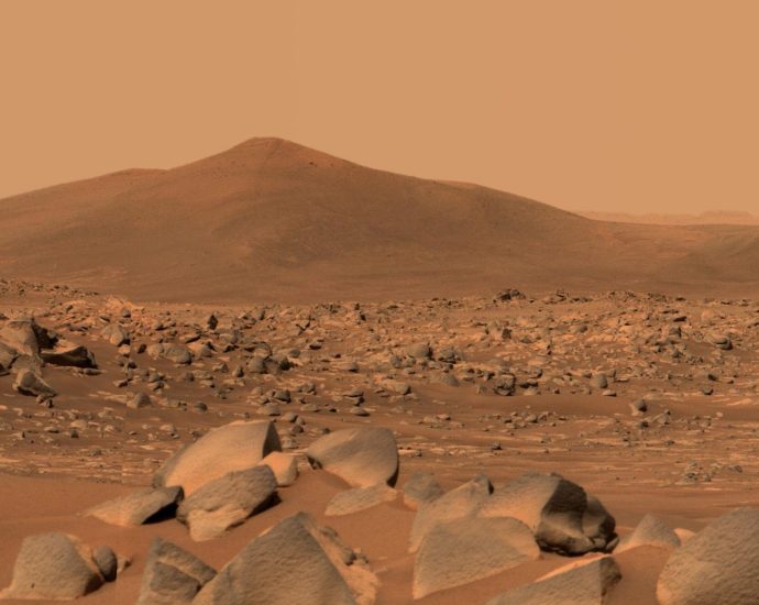 martian-orbit-and-surface-imm-runs