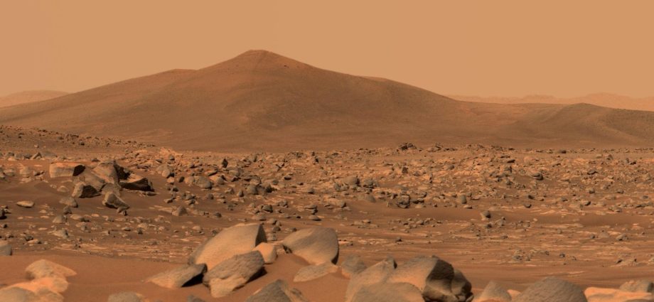 martian-orbit-and-surface-imm-runs