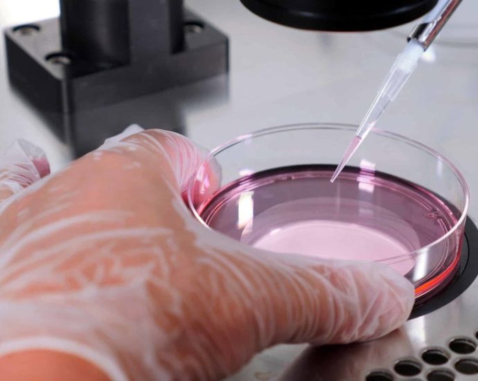 high-costs-for-fertility-treatment-push-americans-abroad-for-ivf-services