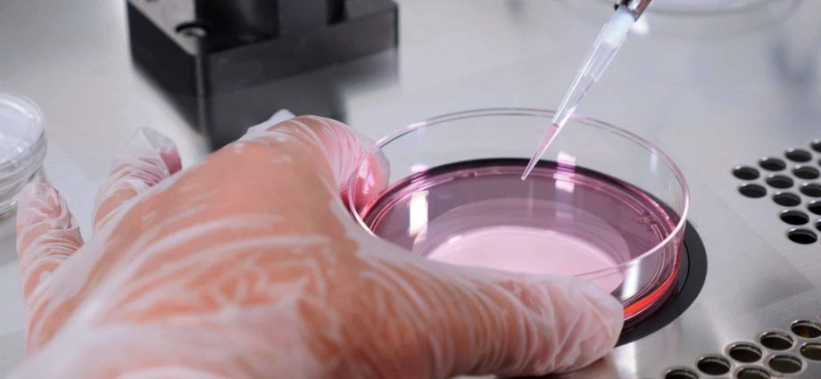 high-costs-for-fertility-treatment-push-americans-abroad-for-ivf-services