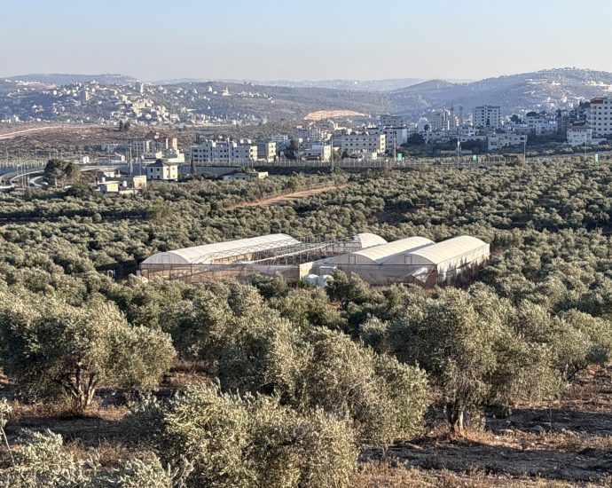 palestinian-farmers-rebuild-what-israeli-settlers-destroy-in-west-bank