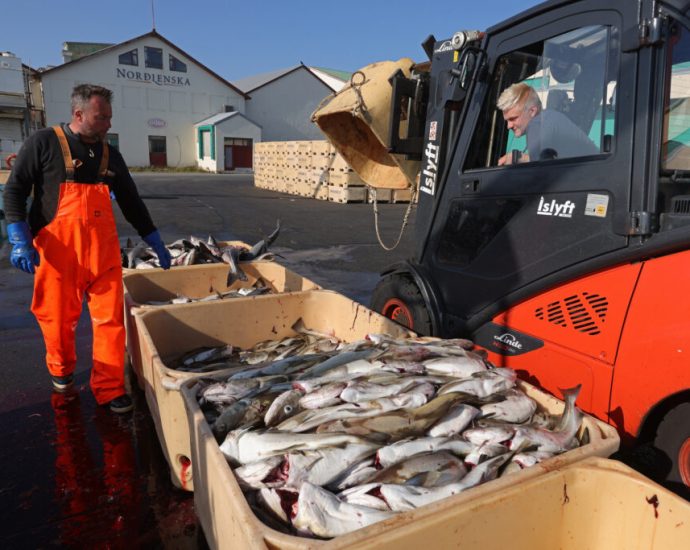 why-iceland-chose-fish-over-european-alliances