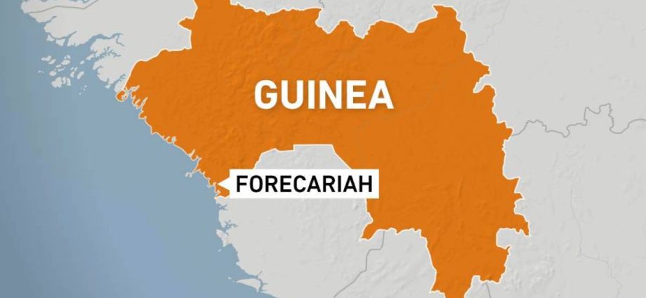 african-ngos-demand-probe-into-six-bodies-found-in-guinea-mass-grave