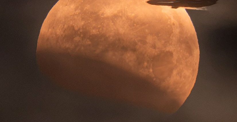apod:-2026-september-1-–-a-plane-lunar-eclipse