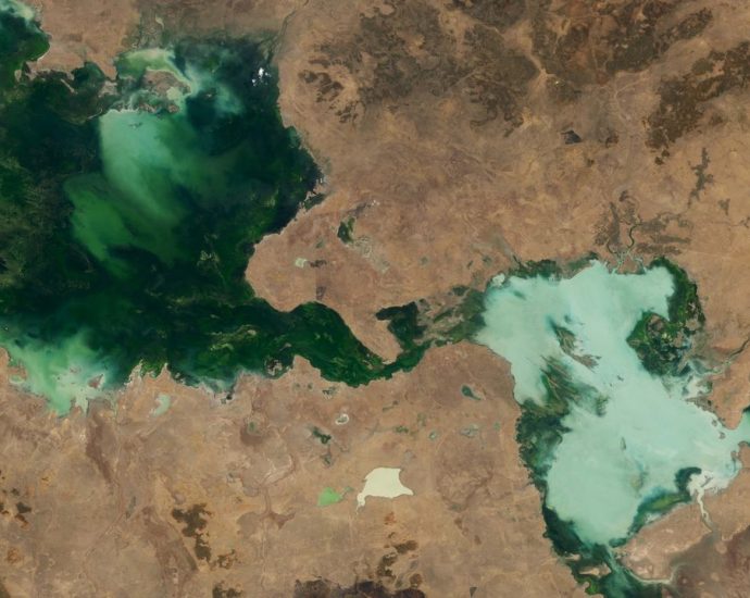 Ghostly green lakes merge in Australian outback after 2 years of heavy rain — Earth from space