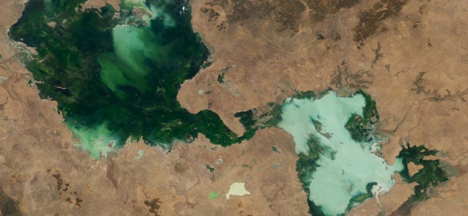 Ghostly green lakes merge in Australian outback after 2 years of heavy rain — Earth from space